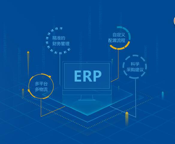 erp1.jpg